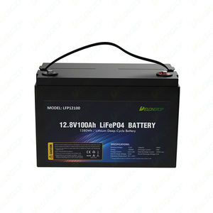 Lifepo4 batteria al litio ferro fosfato 12v 100ah con bms per RV auto elettrica Scooter moto barca ciclo profondo 7ah 60ah