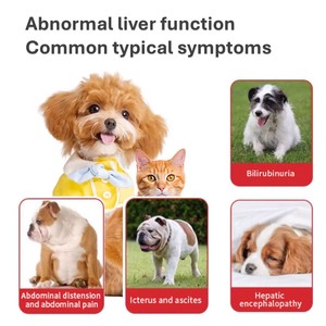 Gotas de Apoyo Inmunológico para Madres Jóvenes Lactantes y Gestantes, para Trastornos Digestivos y Vómitos - Gotas Herbales en Botella de 25 ml para Perros - Product Image 2