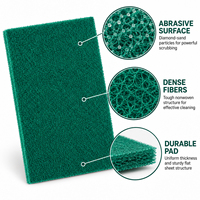 Tampon à récurer en carbure de silicium avec support en fibre abrasive de polyester, outil de nettoyage multi-usages pour évier de cuisine, casseroles, poêles et vaisselle