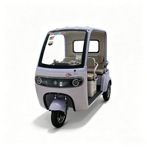 Triciclo Eléctrico de Pasajeros 2026, Vehículo Turístico Apto para Hoteles y Lugares Turísticos, Triciclo Eléctrico LSV Tipo Abierto - Product Image 4