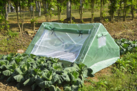 Serre de jardin extérieure portable, mini-serre pour plantes avec fenêtres enroulables et porte à fermeture éclair, couverture en PE, maison verte et chaude