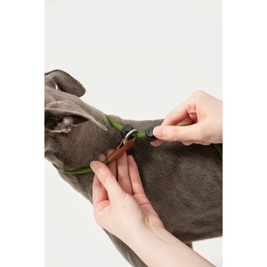 Laisse de dressage professionnelle pour chien, en nylon durable, laisse en P et laisse en corde robuste pour l'entraînement anti-traction des grands chiens - Product Image 3