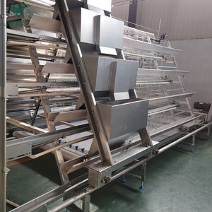 Filippine galvanizzato gabbia a strati di pollo 48/96/100/120/160 teste piramidale RTL batteria Ready deace gabbia di pollo nuovo - Product Image 4