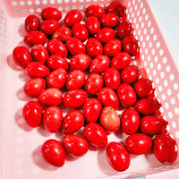 Produits pour le vagin HZ Yoni, œufs en cristal naturel, œufs en jaspe rouge, fournitures de sorcellerie