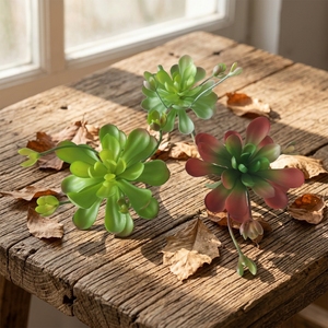 Planta <span class=keywords><strong>Suculenta</strong></span> Artificial de Alta Simulación, <span class=keywords><strong>Flor</strong></span> de Loto Artificial para Decoración de Paredes del Hogar, Planta Artificial Decorativa - Product Image 1
