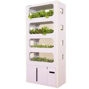 indoor growing Multilayer fully automatic hydroponic growth system for apartment