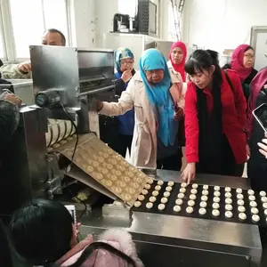 Línea de producción de galletas, sándwich de galletas comestible, impresora de rodillos rotativos, prensa de moldeo, máquina y horno para Barkey