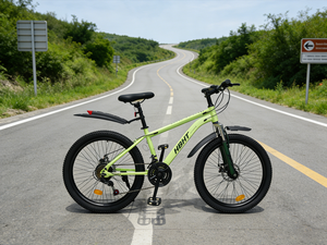 Vélo de montagne personnalisé en usine, 24 <span class=keywords><strong>pouces</strong></span>, 21 vitesses, freins à disque doubles, vélo tout-terrain pour hommes et femmes, cadre en acier - Product Image 1