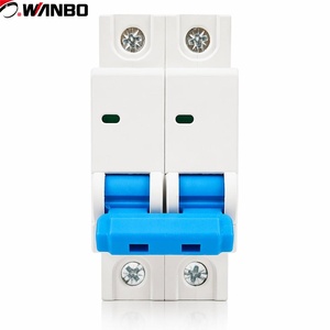 Wanbo-284 OEM Custom DZ47-63 63A 2P MCB Miniature Circuit Breaker 400V 4500A Dual Pole DIN Rail Mounted