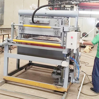Máquina de Producción de Bandejas para Huevos de Alta Capacidad, 300 Unidades Mínimas, Ideal para Exportación