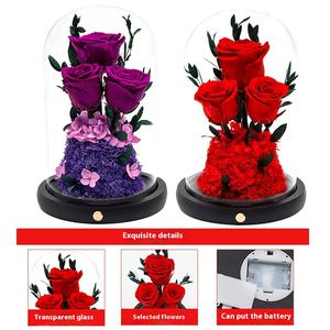 Fleur Éternelle Sansheng III, Roses Naturelles Conservées, Petit Prince sous Cloche en Verre, Longue Durée, Décoration de Table, Noël, Saint-Valentin - Product Image 2