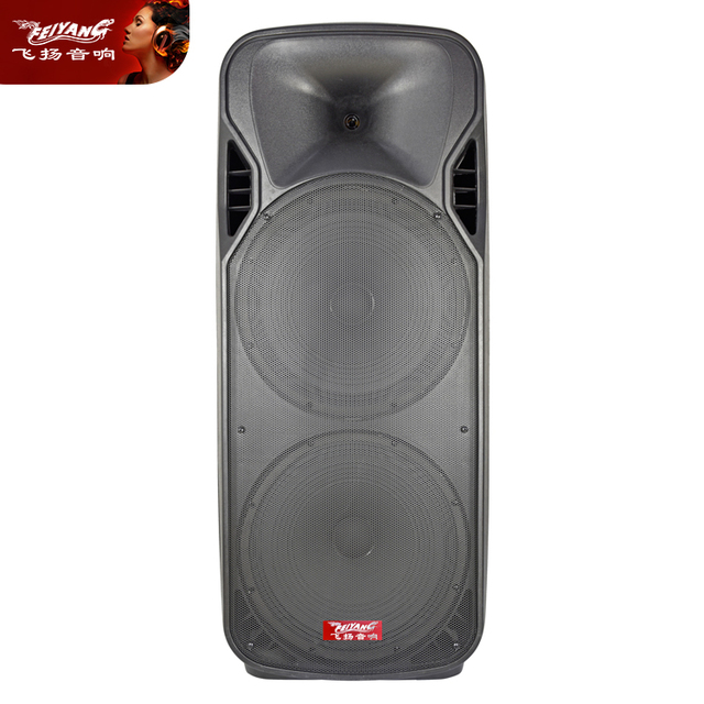 Professional Sub Woofer PA Stereo Dual 12 Inch Karaoke DJ Active Blue Tooth Public System Portable Acoustic Audio Loud Speaker