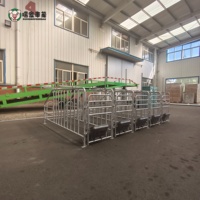 Direct usine : Équipement d'élevage porcin : Stalles de gestation pour truies en acier galvanisé, vente en gros et exportation
