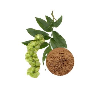 B.C.I Herbal extrato cyclocarya paliurus pó 10:1 - Product Image 3