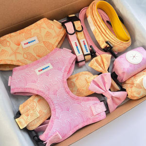 メーカーカスタム おとぎ話テーマ 犬用首輪 リード 引っ張り防止ハーネスセット カボチャの馬車と城柄デザイン ペット向け - Product Image 6