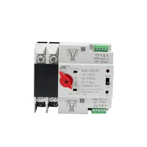 Einphasen-Din-Rail-ATS für PV-und Wechselrichter-Dual-Power-Automatik-Wahlschalter ohne Unterbrechung 2P 63A 100A 125A