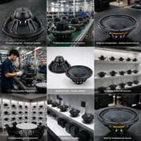 12NDL76 Haut-parleur actif 12 pouces, woofer 800W, pour sonorisation professionnelle de scène, système stéréo, OEM