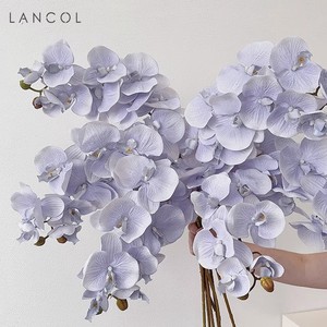 Fleurs artificielles d'orchidées Phalaenopsis Haiyi, 10 têtes, faites à la main, pour mariage, décoration de la maison, accessoires de photographie - Product Image 5