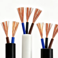 Kabel Kontrol RVV Multi-Core Fleksibel Berlapis PVC Tembaga Terpilin 2/3 Inti untuk Kabel Rumah Tangga dan Industri (Roll)