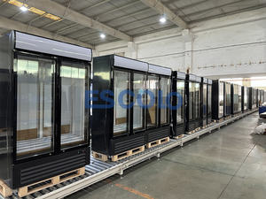 El Mejor Refrigerador Comercial de Doble <span class=keywords><strong>Puerta</strong></span> con Vitrina de Vidrio, Enfriador de Bebidas Vertical en Venta - Product Image 5