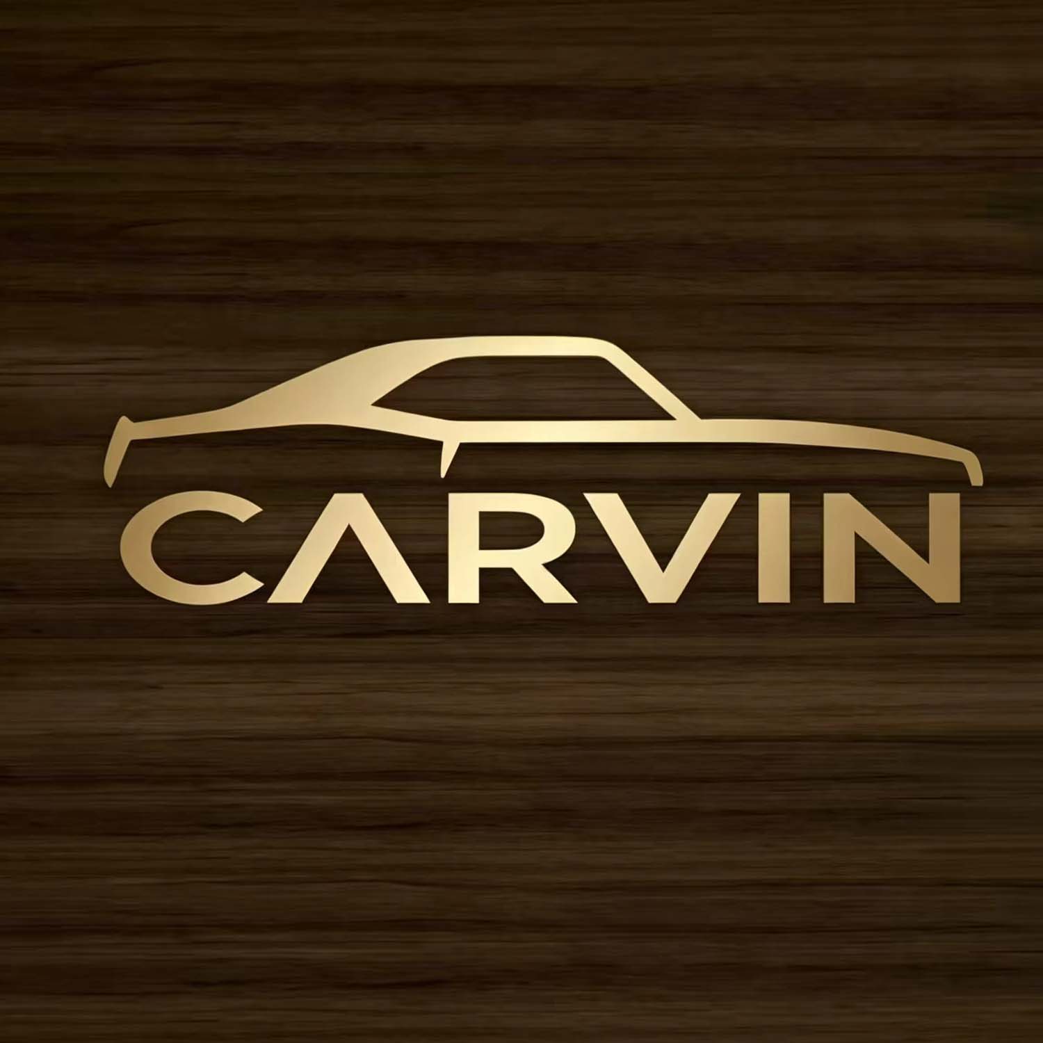 Huizhou Carvin Technology Co., Ltd. logo