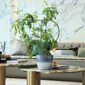 HUAZHIAI Pots de fleurs et jardinières en <span class=keywords><strong>plastique</strong></span> cylindriques rustiques et mats de bureau pour intérieur et extérieur - Product Image 2