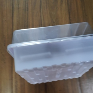 Plateau hydroponique 10*10 en plastique PP personnalisé avec <span class=keywords><strong>couvercle</strong></span> transparent et logo - Product Image 2