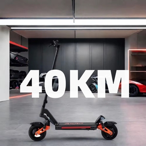 2025 for Certified Compact 9-Inch Waterproof 500W Motor 40-60km Range Foldable Two-Wheel Scooter US Ready Stock - Product Image 5