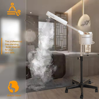Appareil de soin de la peau pour spa, vaporisateur facial à vapeur, vaporisateur d'ozone, vaporisateur ionique