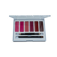 Palette de rouges à lèvres minéraux mats de luxe imperméables de haute qualité OEM en gros avec pinceau et crème contour des lèvres