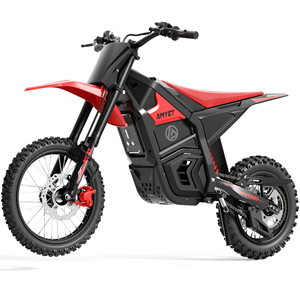 AMYETVT300 E Motorbike 48V 23.4AH Hydraulic 3000w Powerful EV Dirt Bike Ebike Off Road Motorcycle - Product Image 1