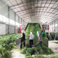 Elektrische warmtepomp PLC-gestuurde fruitdroogmachine met motor en continue banddrooginstallatie