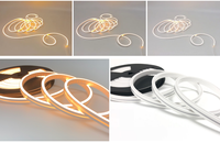 Bande LED Néon Flexible en Gros 10*20mm IP68 Étanche, Personnalisable CCT Blanc pour Éclairage Extérieur Façade/Piscine/Jardin