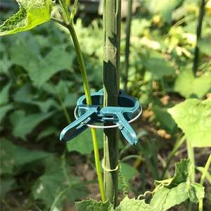 Clip de fixation pour plantes de serre, <span class=keywords><strong>pince</strong></span> de fixation pour branches et vignes, <span class=keywords><strong>pince</strong></span> de soutien pour semis, <span class=keywords><strong>pince</strong></span> de greffage - Product Image 4