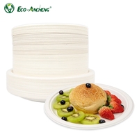 Assiette jetable polyvalente en fibre de bagasse de canne à sucre biodégradable pour supermarchés