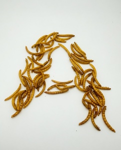 ผลิตภัณฑ์หนอนนกอบแห้งที่มีคุณค่าทางโภชนาการสำหรับปลาในตู้ปลา <span class=keywords><strong>ปลา</strong></span>คาร์ฟ อาหารเม็ดทดแทน - Product Image 4