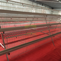 Cage à poulets autoportante de type A, 4 niveaux, 5 portes, structure en fil d'acier galvanisé, stable, installation facile, pour la ferme