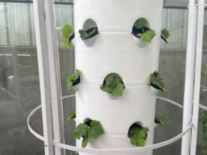 Tours hermétiques utilisables et entièrement automatiques, systèmes de jardin, systèmes de culture de tour hydroponique verticale - Product Image 4