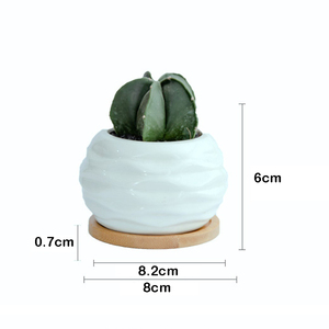 Vaso Fioriera Mini in Ceramica di Lusso Moderno Decorativo da Interno <span class=keywords><strong>per</strong></span> <span class=keywords><strong>Piante</strong></span> <span class=keywords><strong>Grasse</strong></span>, con Vassoio in Bambù, Uso da Giardino, Produzione Cinese - Product Image 2