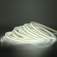 Lampu Strip LED Putih Dingin 12V Lebar Papan 5mm SMD 3528 IP66 Tahan Air untuk Luar Ruangan