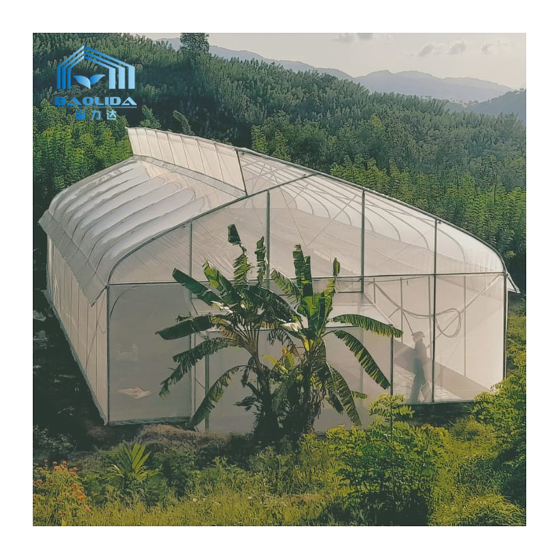 Single Span Agricultural High Tunnel Greenhouse
