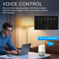 Prise murale intelligente Wi-Fi 13A standard britannique avec interrupteur tactile en verre et moniteur de puissance USB Type C