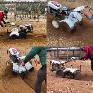 Cultivador de <span class=keywords><strong>gasolina</strong></span> Dragon Horse de 6/7.5HP, de 2 ruedas, multifuncional, para arrozales y tierras secas - Product Image 5