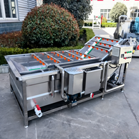 Fruit- en groenteverwerkingslijn voor het reinigen, sorteren, wassen en drogen van dadels en taugé; inclusief een bubbelwasmachine.