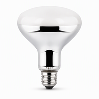 Lampe pour animaux de compagnie pour tortue, dragon barbu, lézard, terrarium R115 UVA UVB, ampoule chauffante blanche douce 160W E27 240V