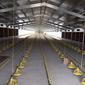 Struttura in Acciaio per Allevamento Avicolo Stile Fattoria, Capannone per Polli Prefabbricato Marca <span class=keywords><strong>RT</strong></span>, Garanzia 5 Anni, Resistente a Venti Oltre 121 Mph - Product Image 6