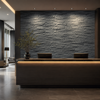 Dalles de quartzite noir pour revêtement mural extérieur, surface fendue, design contemporain, durable, résistant aux acides