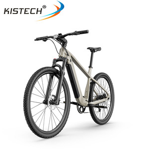 <span class=keywords><strong>Fiido</strong></span> Nomads Touring <span class=keywords><strong>E</strong></span>-<span class=keywords><strong>Bike</strong></span> avec moteur 250W 36V 11.6AH batterie 29 pouces roues capteur de couple frein à disque hydraulique Ebike - Product Image 5