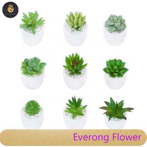 미니 인공 장식 홈 다육 식물 세트 분재 벌크 wiEV 라운드 냄비 - Product Image 2