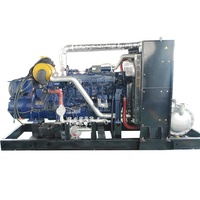 عالية الكفاءة 200kw مولد الغاز الحيوي تحويل النفايات إلى طاقة محطات توليد الطاقة مولد الغاز 1mw
